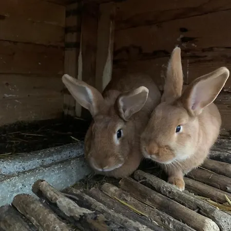 度假居 Le Relais De La Fontaine & Jacuzzi